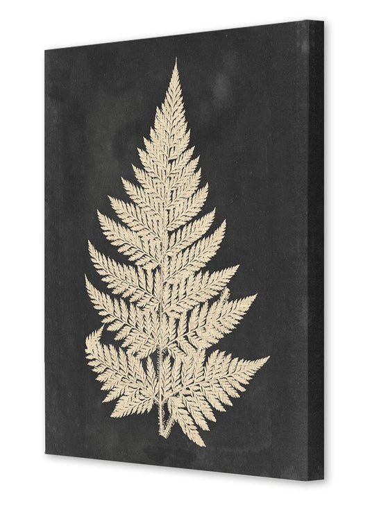 LINEN FERN I