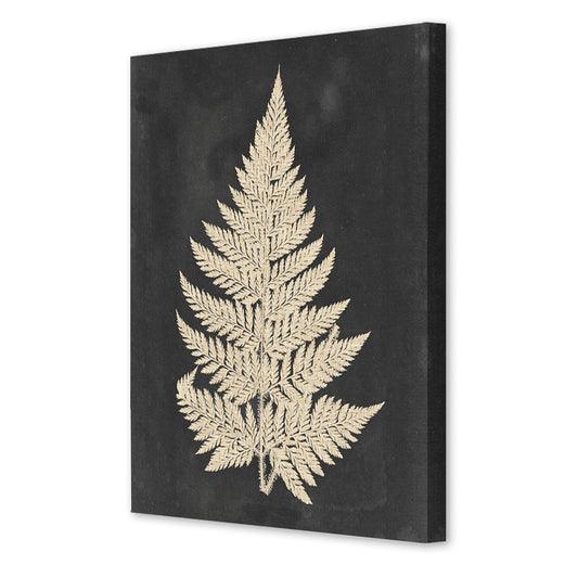 Linen Fern I, Fine Art Giclee Print on Gallery Wrap Canvas, 30" x 38"