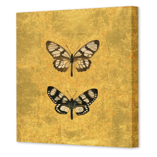 Pair Of Butterflies On Gold, Fine Art Giclee Print on Gallery Wrap Canvas, 24" x 24"
