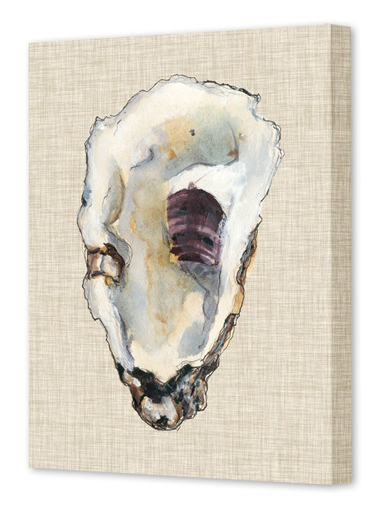 OYSTER SHELL STUDY III