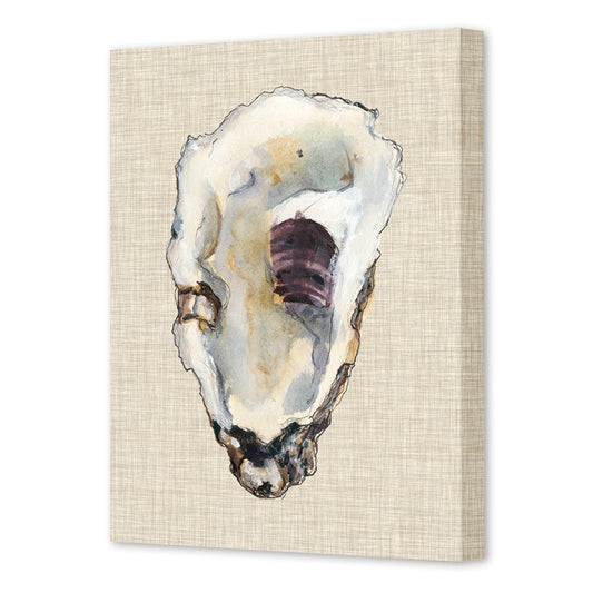 Oyster Shell Study III, Fine Art Giclee Print on Gallery Wrap Canvas, 28" x 36"