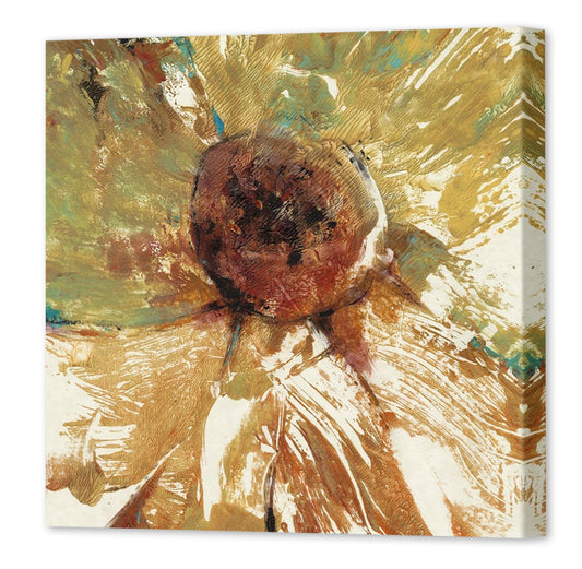 SPLASH II