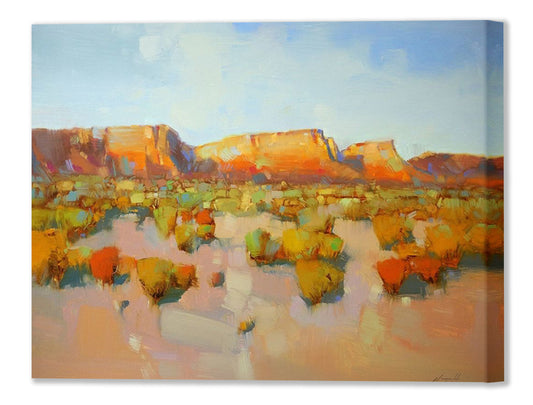 CANYON VIEW