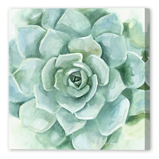 Verdant Succulent, Fine Art Giclee Print on Gallery Wrap Canvas, 30" x 30"