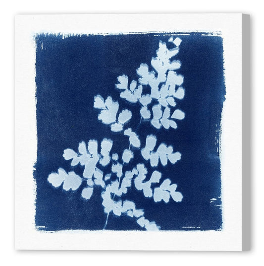 FLORA CYANOTYPE I