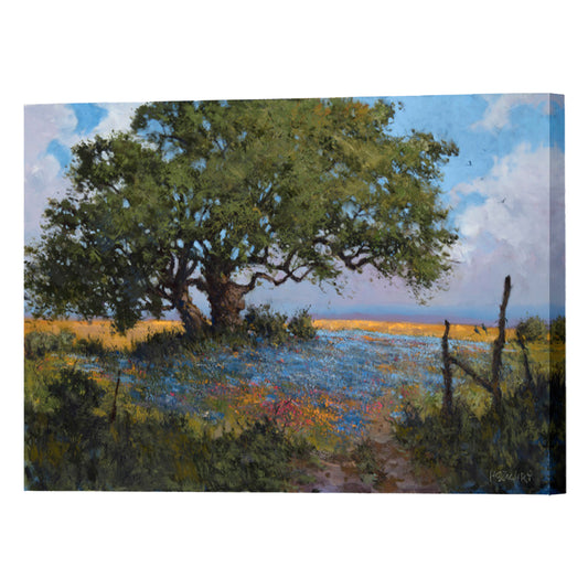 Texas Afternoon, Fine Art Giclee Print On Gallery Wrap Canvas, 30" x 40"