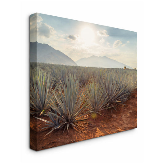 Agave Fields Forever - Fine Art Giclee Print on Gallery Wrapped Canvas, 18" x 24"