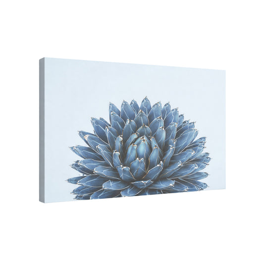 Azure Bloom - Fine Art Giclee Print on Gallery Wrapped Canvas, 27" x 36"