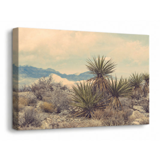 Desert Serenity - Fine Art Giclee Print on Gallery Wrapped Canvas, 15" x 20"