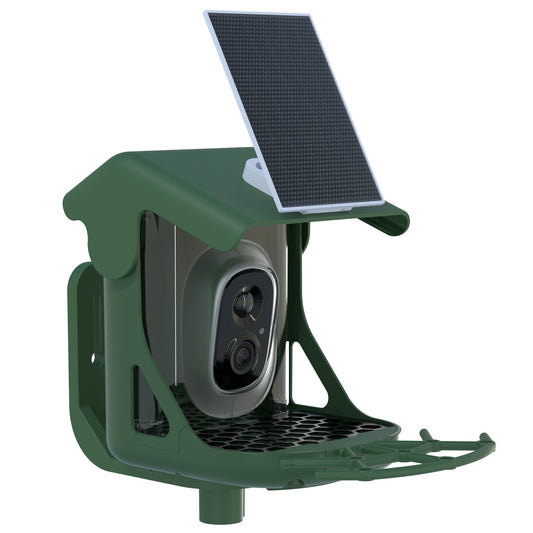 BirdSense Smart WiFi Bird Feeder Camera with AI Bird ID, Solar Power & Night Vision