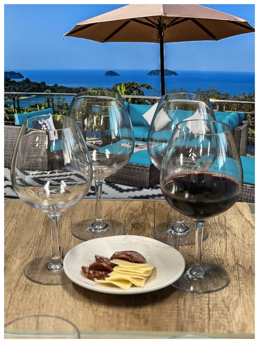 LeadingWare Tritan Wine Glasses Set of 4, 23oz, Unbreakable, BPA Free, Clear