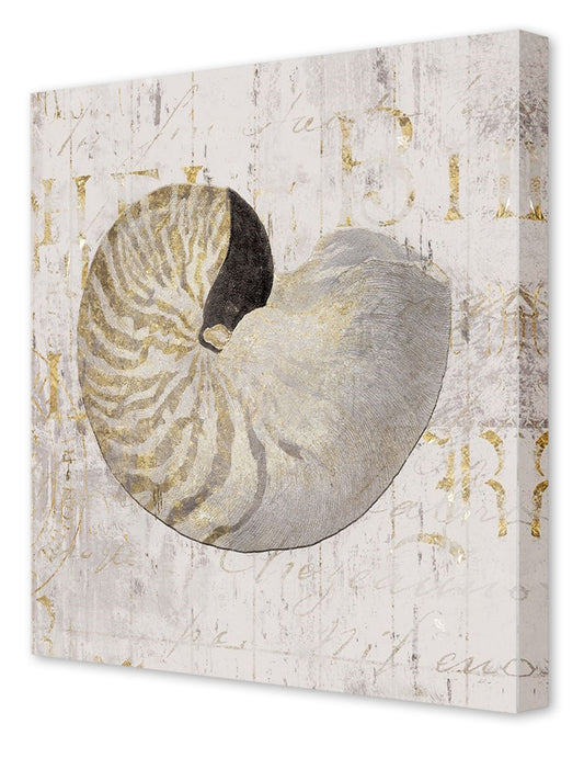 GOLDEN VINTAGE SHELL II
