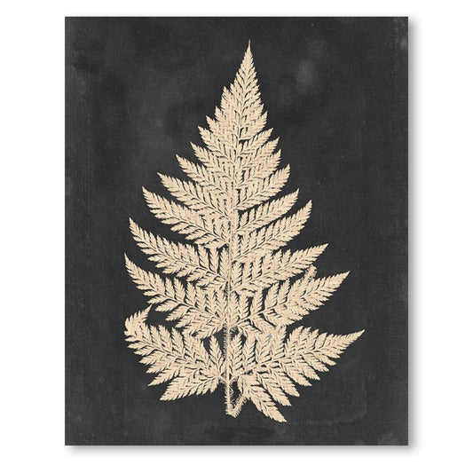 Linen Fern I, Fine Art Giclee Print on Gallery Wrap Canvas, 30" x 38"