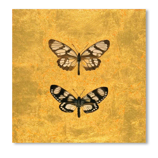 Pair Of Butterflies On Gold, Fine Art Giclee Print on Gallery Wrap Canvas, 24" x 24"
