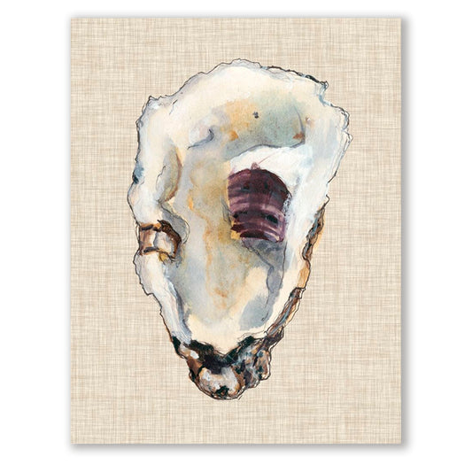Oyster Shell Study III, Fine Art Giclee Print on Gallery Wrap Canvas, 28" x 36"