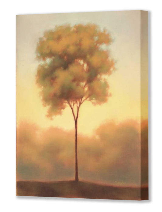 SOLITUDE III