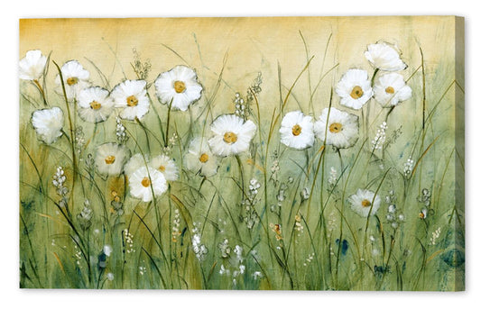 DAISY SPRING II