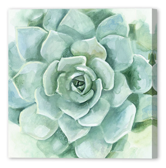 VERDANT SUCCULENT