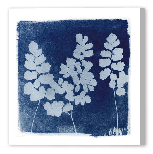 FLORA CYANOTYPE II
