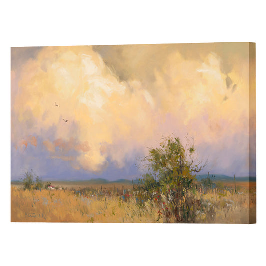 Summer Shower, Fine Art Giclee Print On Gallery Wrap Canvas, 20" x 30"