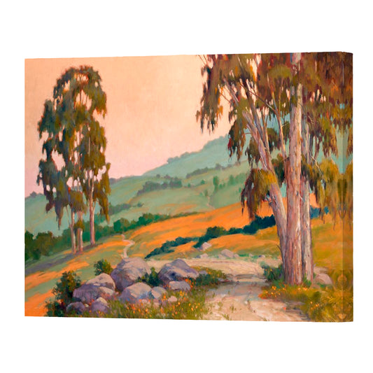 Poppy Hill Path, Fine Art Giclee Print On Gallery Wrap Canvas, 30" x 40"