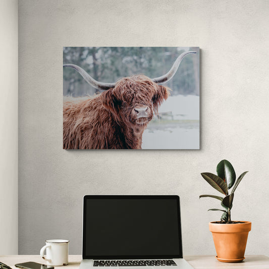 A Highland Hello - Fine Art Giclee Print on Gallery Wrapped Canvas, 15" x 20"