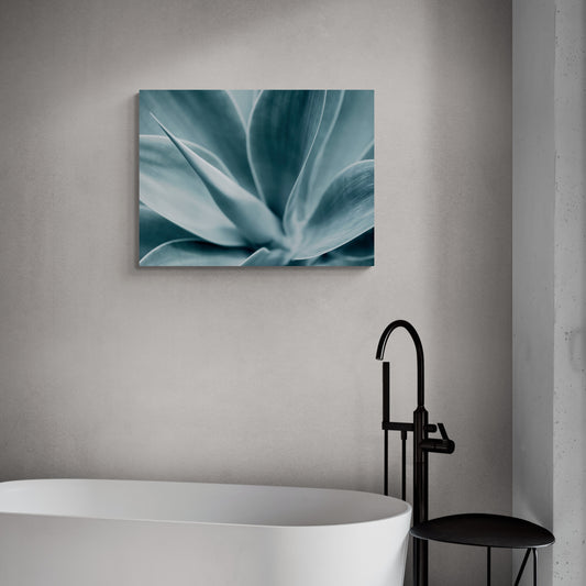 Cool Agave - Fine Art Giclee Print on Gallery Wrapped Canvas, 15" x 20"