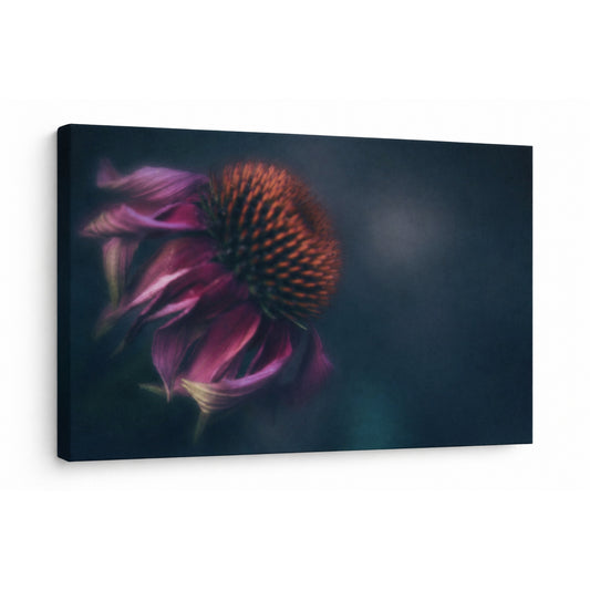 Evening Bloom - Fine Art Giclee Print on Gallery Wrapped Canvas, 27" x 36"
