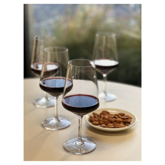 LeadingWare Plastic Wine Glasses Set of 4 (19oz), BPA Free Tritan Lexington Wine Glass Set, Unbreakable Red Wine Glasses, White Wine Glasses